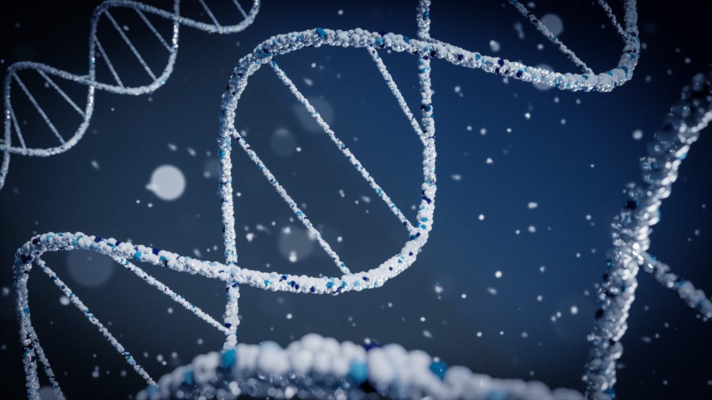 A 3D rendering of a DNA double helix