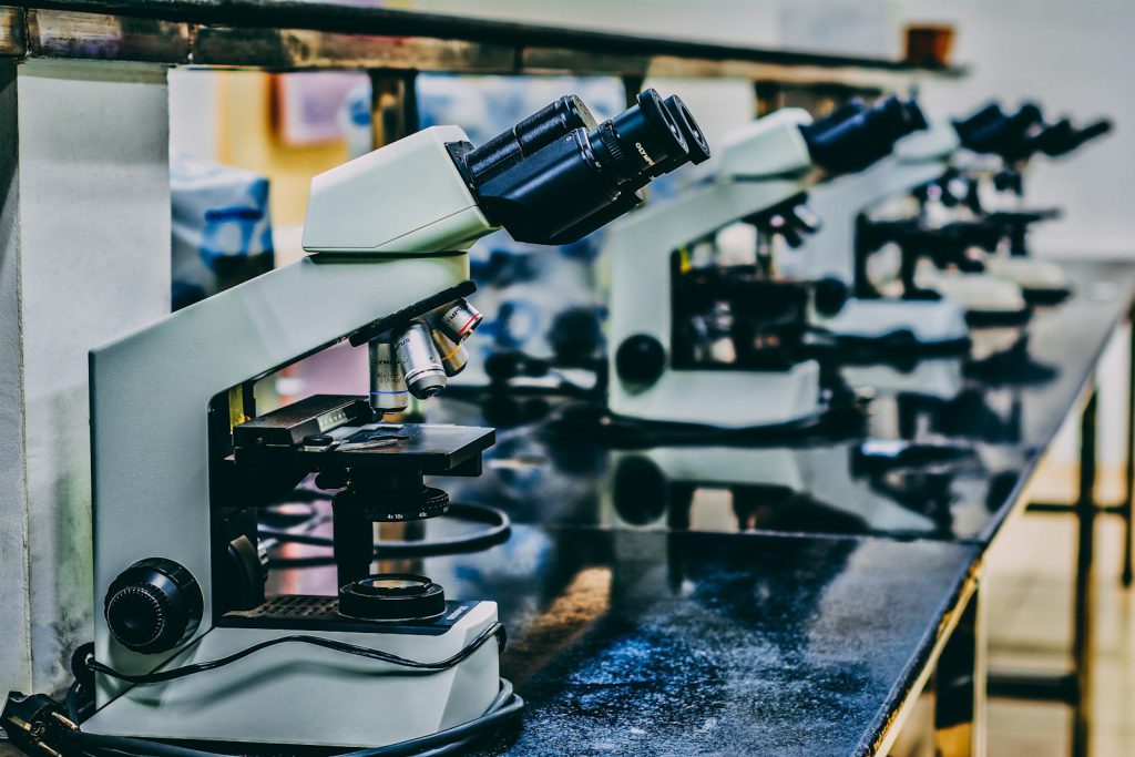 A row of microscopes in a laboratory