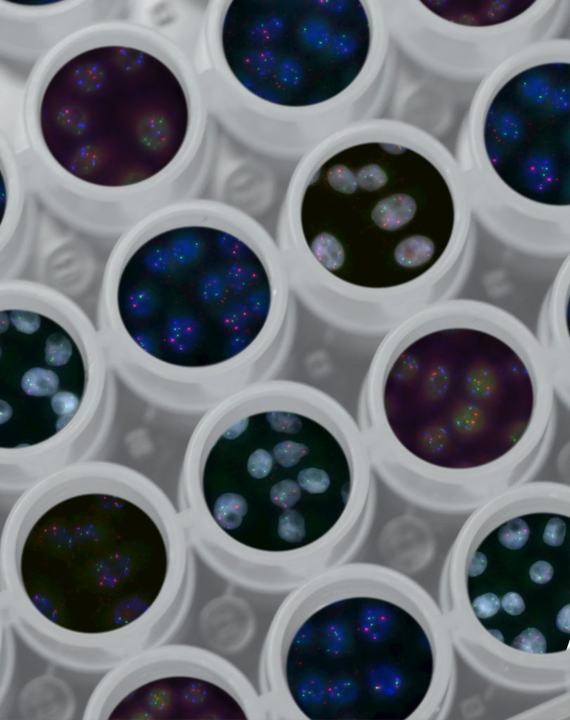 Fluorescent cell samples in a multiwell plate